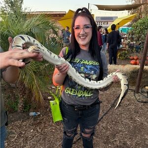 Meet your Posher, Sadie